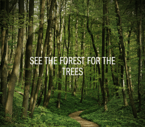 See the forest for the trees